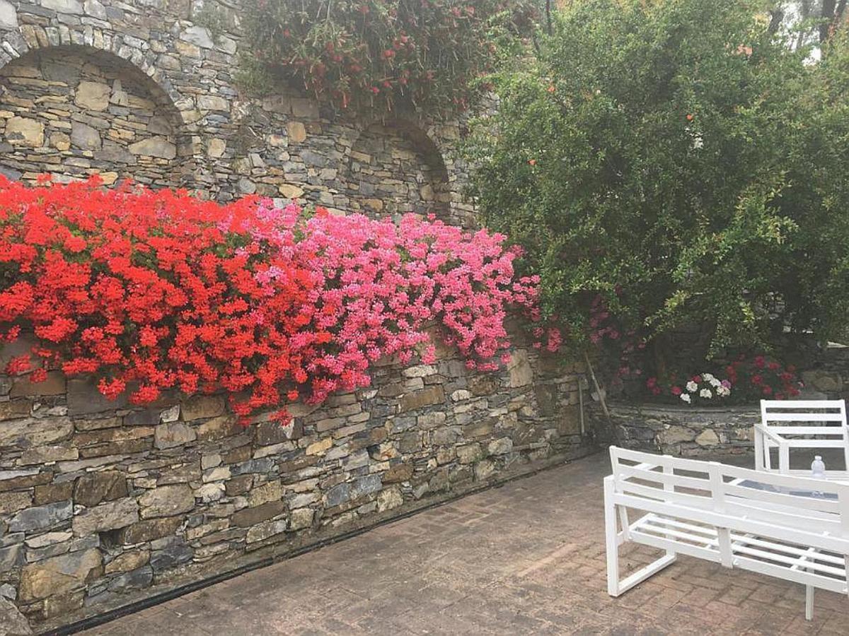 Villa Olivari - Apt La Lavanda Camogli Extérieur photo