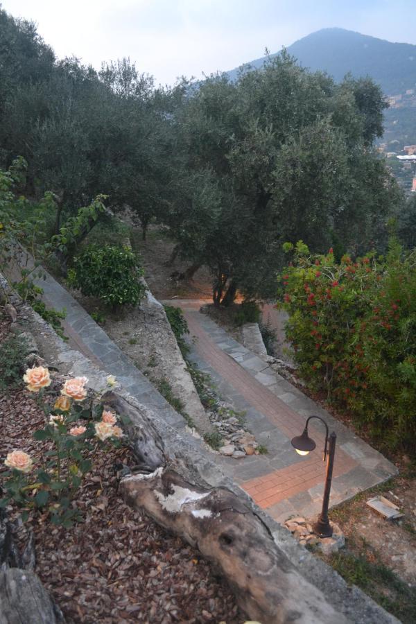 Villa Olivari - Apt La Lavanda Camogli Extérieur photo
