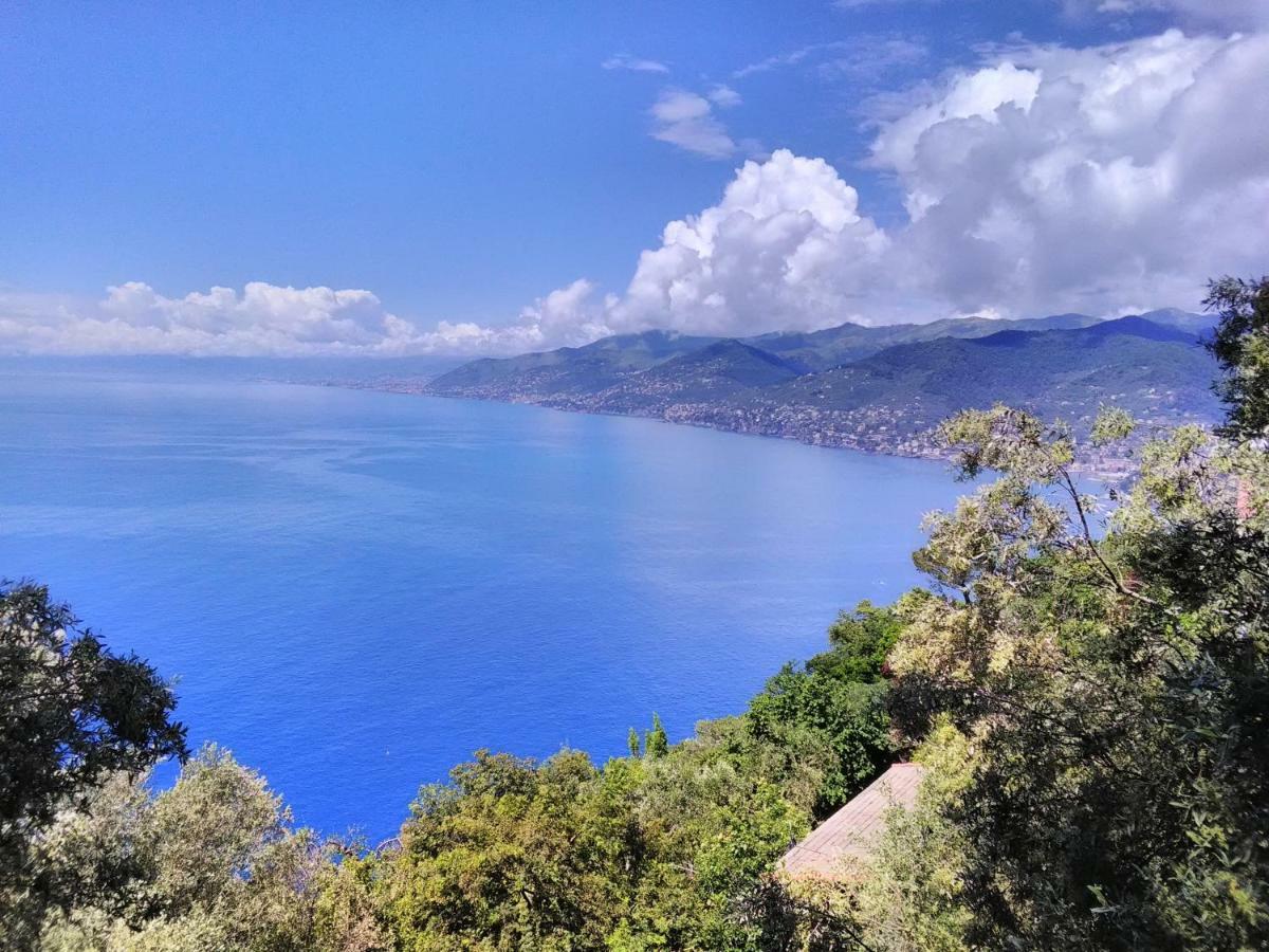Villa Olivari - Apt La Lavanda Camogli Extérieur photo