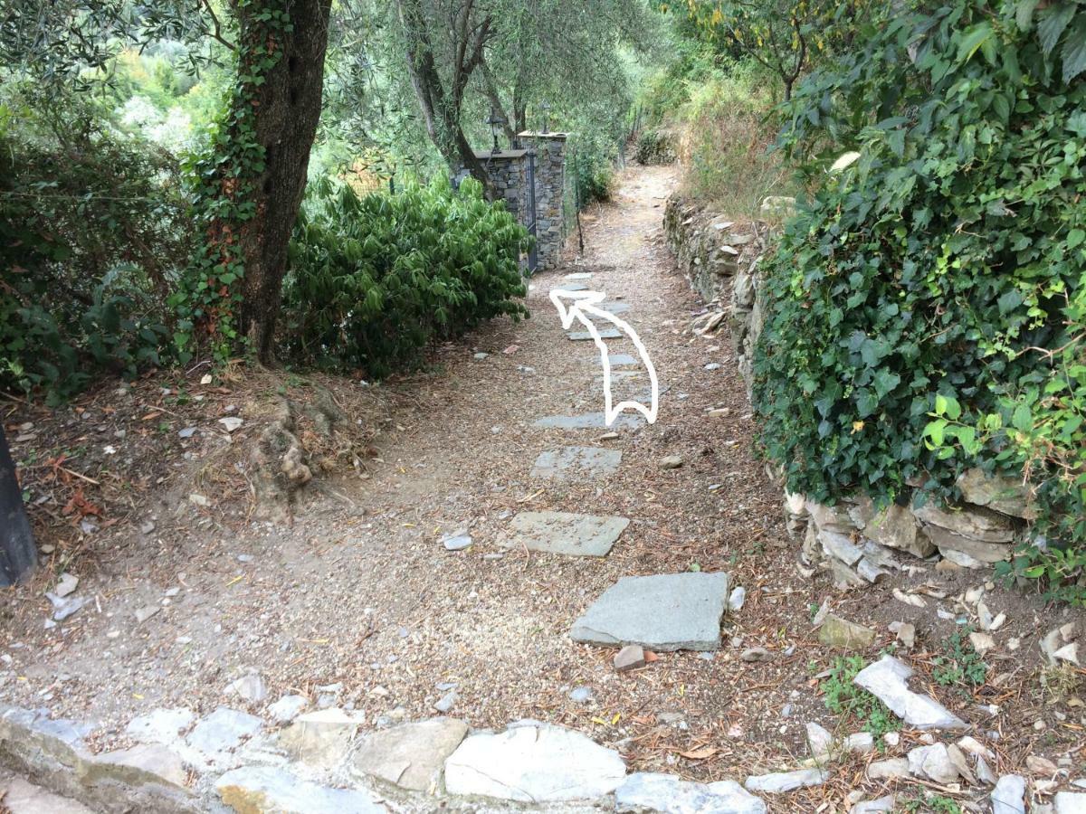 Villa Olivari - Apt La Lavanda Camogli Extérieur photo