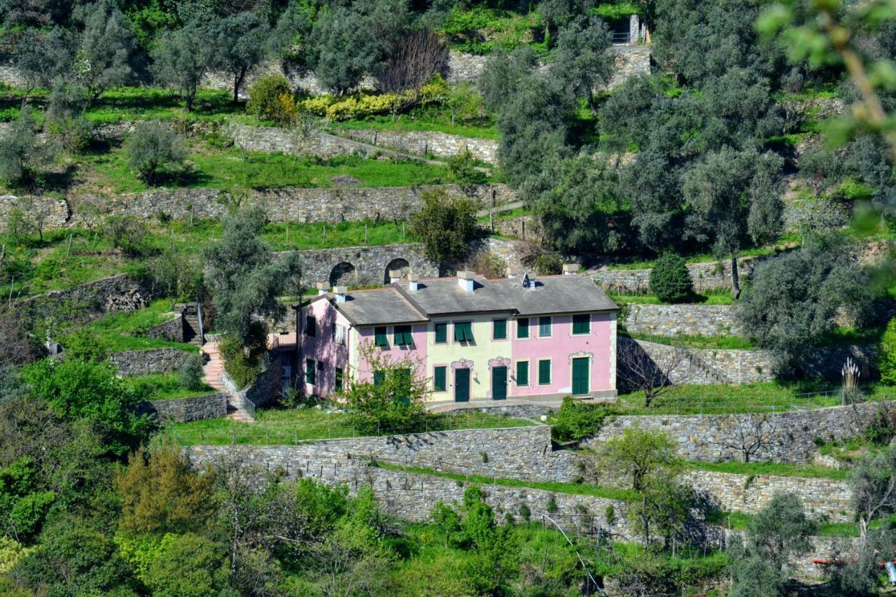 Villa Olivari - Apt La Lavanda Camogli Extérieur photo