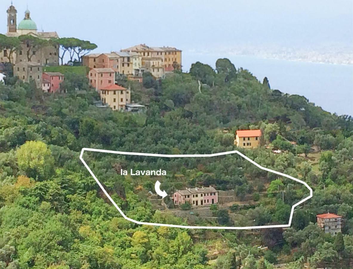 Villa Olivari - Apt La Lavanda Camogli Extérieur photo