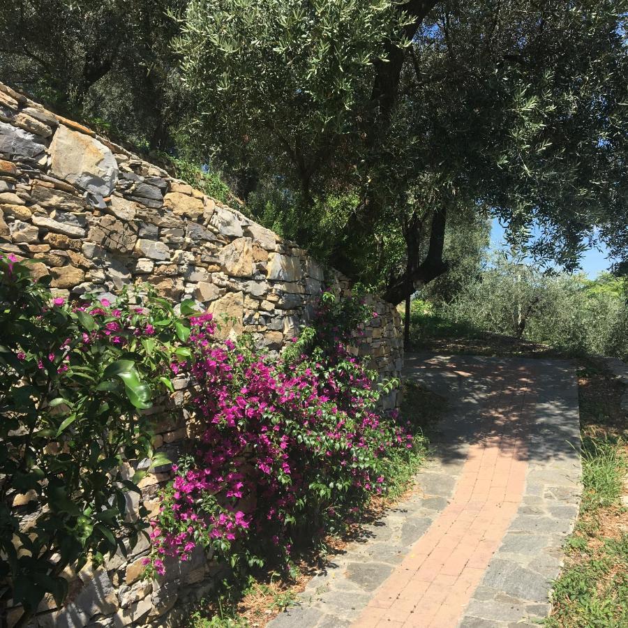 Villa Olivari - Apt La Lavanda Camogli Extérieur photo